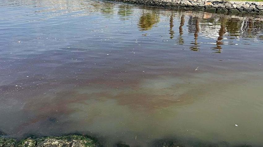Bilim insanları 'İzmir Körfezi' raporunu açıkladı