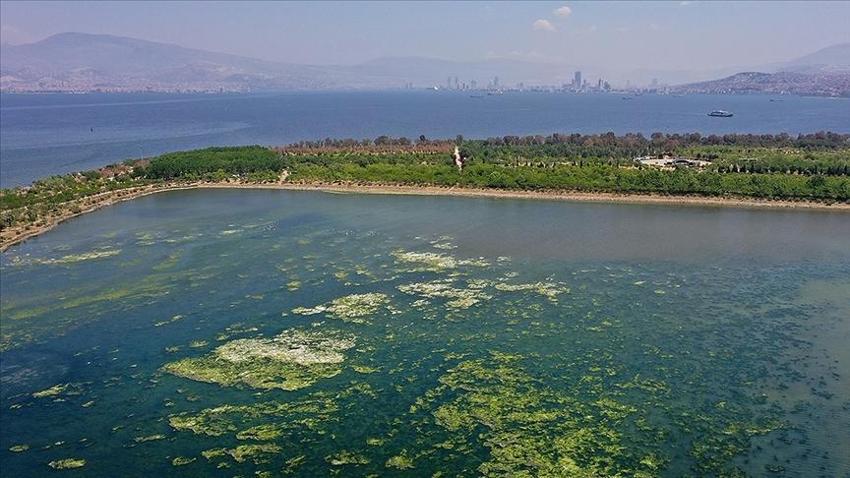 Bilim insanları 'İzmir Körfezi' raporunu açıkladı