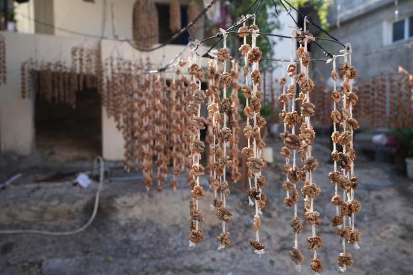 Kilis'te kışın vazgeçilmez lezzeti cevizli sucuk mesaisi başladı! Üzüm suyu, ceviz ve badem kullanılıyor enerjiyi tavan yaptırıyor