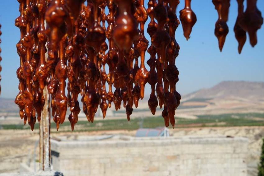 Kilis'te kışın vazgeçilmez lezzeti cevizli sucuk mesaisi başladı! Üzüm suyu, ceviz ve badem kullanılıyor enerjiyi tavan yaptırıyor