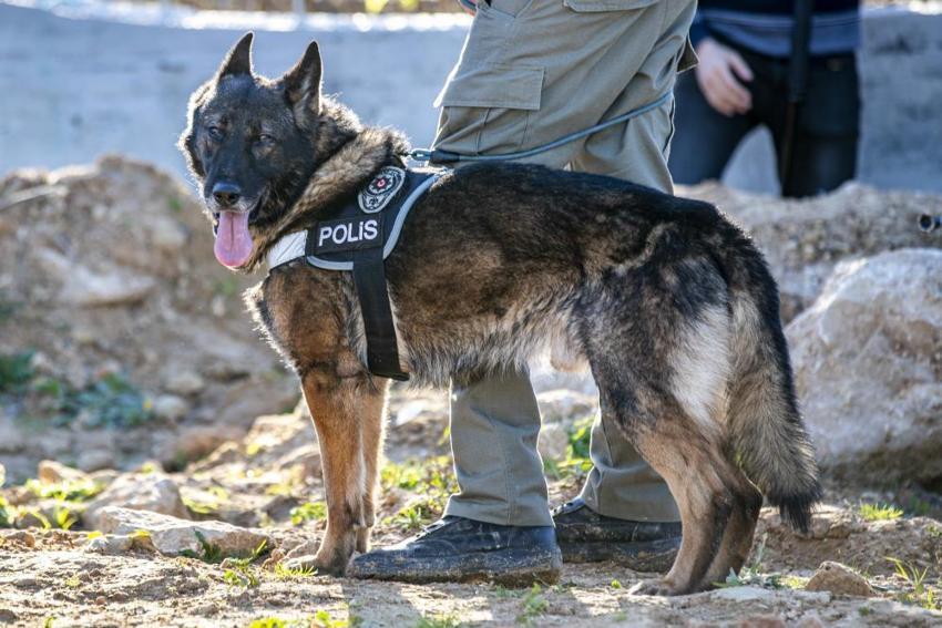 Antalya'da kan donduran olay: Önce baldızını sonra kuryeyi öldürüp aynı araziye gömdü! 5 ay yaşıyormuş gibi ailesine mesaj atmış