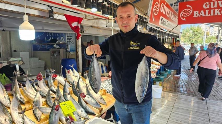 Denizlerde balık bolluğu: Palamutlar irileşti, fiyatlar yüz güldürüyor
