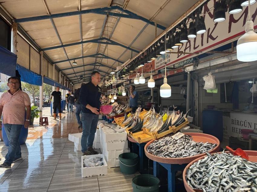 Denizlerde balık bolluğu: Palamutlar irileşti, fiyatlar yüz güldürüyor
