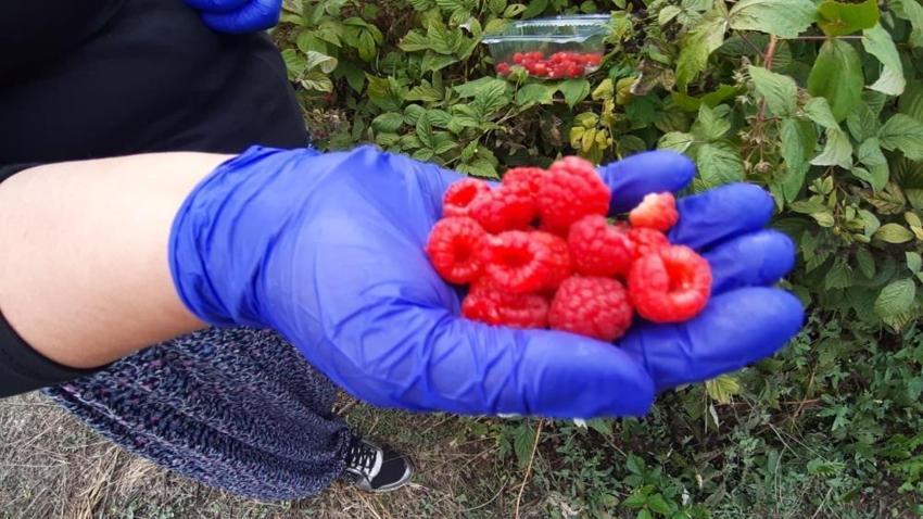 Kuaförlüğü bırakıp hayalindeki işi kurdu! Şimdi siparişlere yetişemiyor