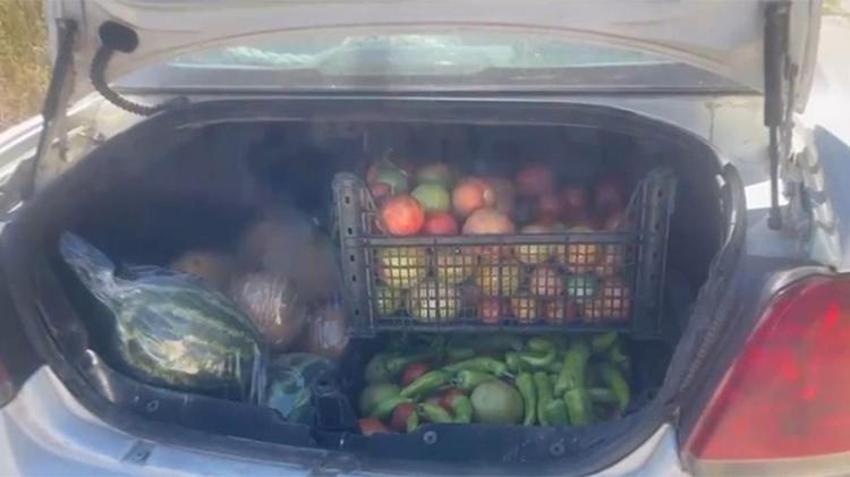 Markette sebzeleri pahalı bulan vatandaşlar soluğu tarlada aldı! 'Yarı yarıya fark var'