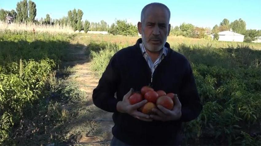 Markette sebzeleri pahalı bulan vatandaşlar soluğu tarlada aldı! 'Yarı yarıya fark var'