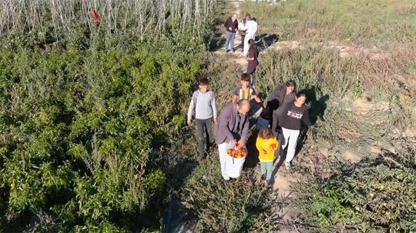 Markette sebzeleri pahalı bulan vatandaşlar soluğu tarlada aldı! 'Yarı yarıya fark var'