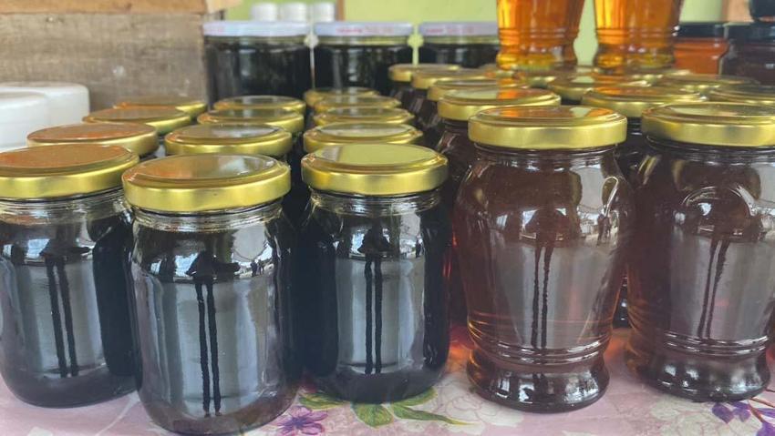 Karabük'te mucize bitki çiçek açmaya başladı! Kilogram fiyatı 320 bin TL'den satılıyor