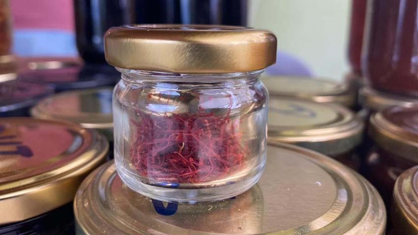 Karabük'te mucize bitki çiçek açmaya başladı! Kilogram fiyatı 320 bin TL'den satılıyor