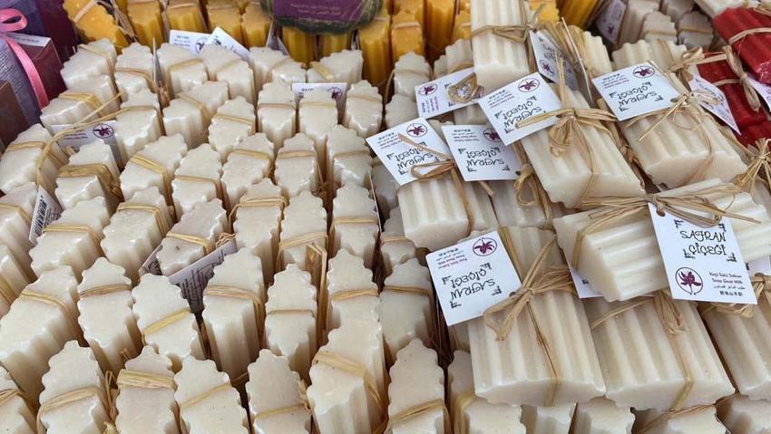 Karabük'te mucize bitki çiçek açmaya başladı! Kilogram fiyatı 320 bin TL'den satılıyor