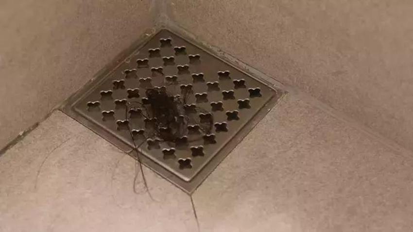 İki küp şeker gider tıkanıklığını tamamen açıyor! İşin sırrı bu yöntemde