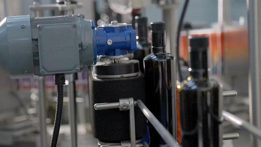 Ege Bölgesi'nde hasat başladı! Zeytin dünyanın dört bir yanına ihraç ediliyor