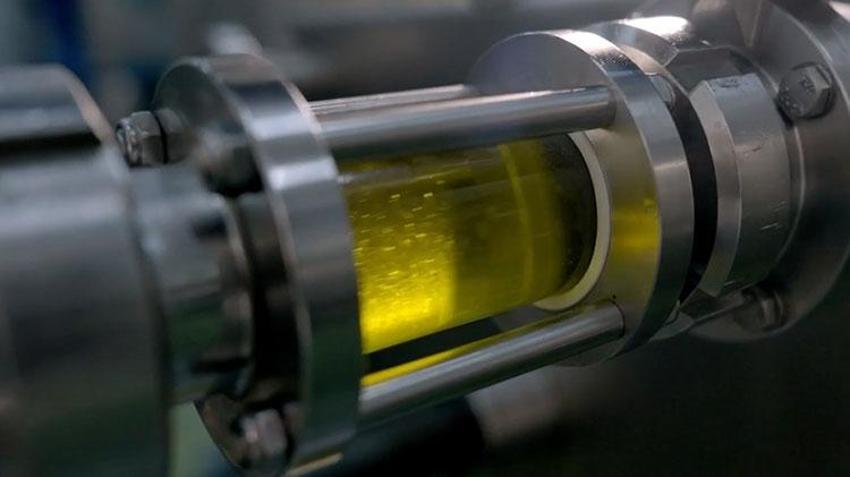 Ege Bölgesi'nde hasat başladı! Zeytin dünyanın dört bir yanına ihraç ediliyor