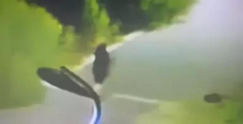 Rojin'in esrarengiz ölümünün perde arkası! Kütüphaneden aldığı son kitap 'Kayıp Aranıyor'