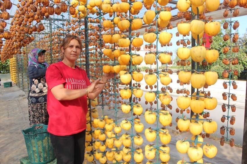 Manisa'da üretiliyor kalp dahil birçok organa iyi geliyor! Kilosu 10 Euro'dan yok satıyor