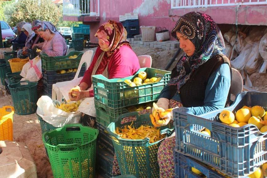 Manisa'da üretiliyor kalp dahil birçok organa iyi geliyor! Kilosu 10 Euro'dan yok satıyor