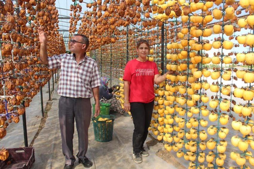 Manisa'da üretiliyor kalp dahil birçok organa iyi geliyor! Kilosu 10 Euro'dan yok satıyor
