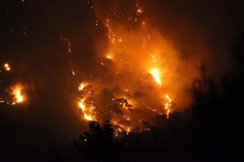 Muğla'nın Ortaca ve Dalaman ilçesinde orman yangını çıktı! Ekipler müdahale ediyor