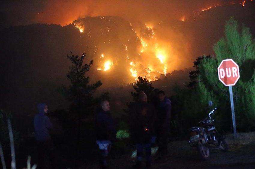 Muğla'nın Ortaca ve Dalaman ilçesinde orman yangını çıktı! Ekipler müdahale ediyor