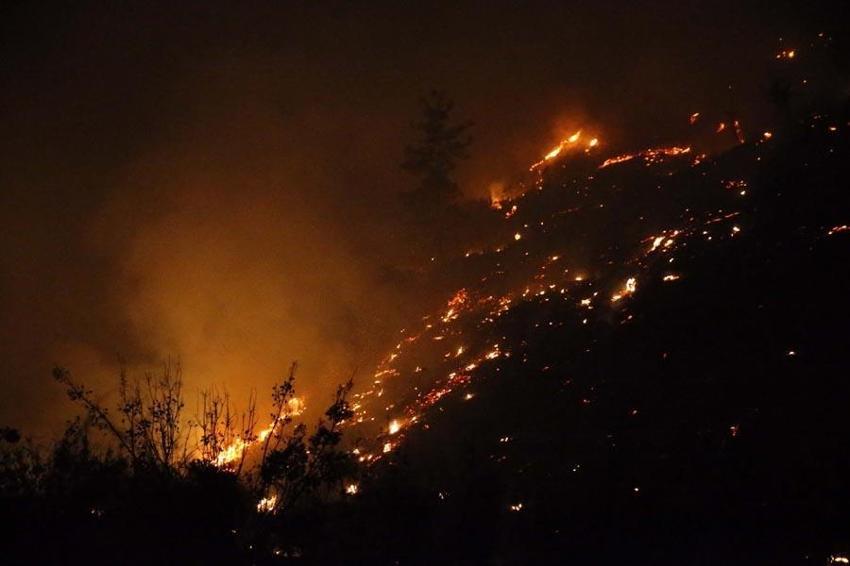 Muğla'nın Ortaca ve Dalaman ilçesinde orman yangını çıktı! Ekipler müdahale ediyor