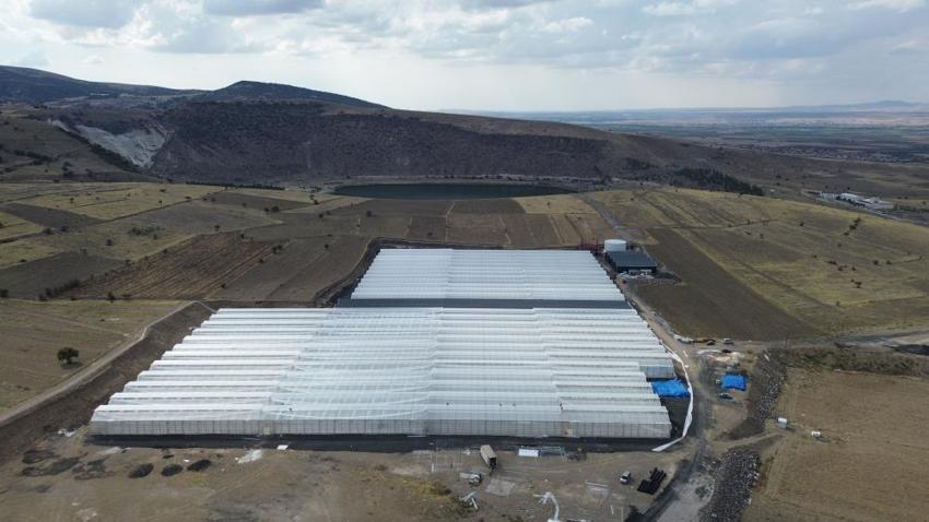 Niğde'de jeotermal enerji ile topraksız tarım yapılacak