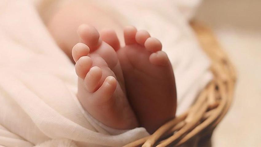 Yeni doğan bebek çetesine ağır darbe! İş birliği yaptıkları hastaneler ortaya çıktı, Bakan Tunç: 22 şüpheli tutuklandı