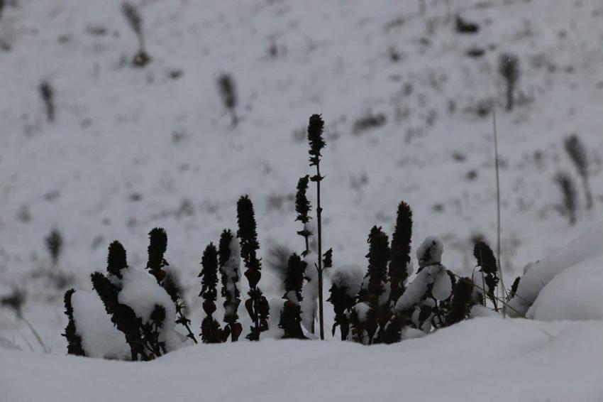 Meteoroloji'den son dakika açıklaması! Hava sıcaklıkları 9 derece birden düşüyor