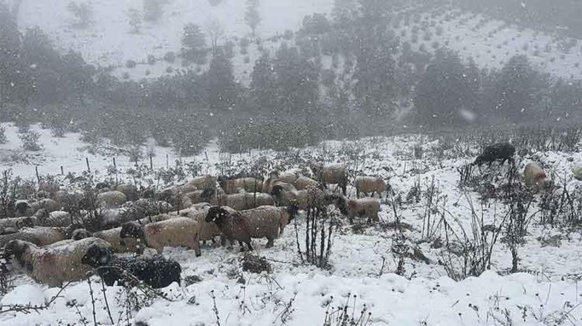 Lapa lapa kar erken bastırdı: İstanbul'un yanı başına kadar dayandı! Meteoroloji'den son dakika uyarısı geldi