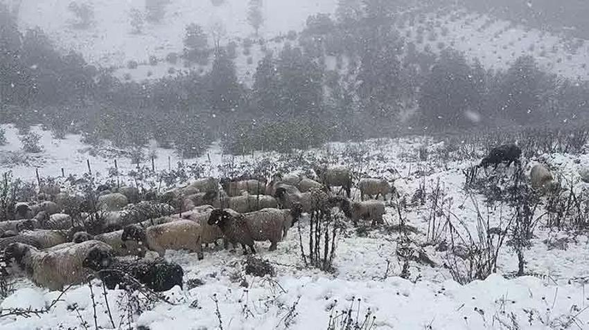 Türkiye'de sıcaklıklar düşüyor! Gecenin en soğuk noktası Erzurum'da tespit edildi