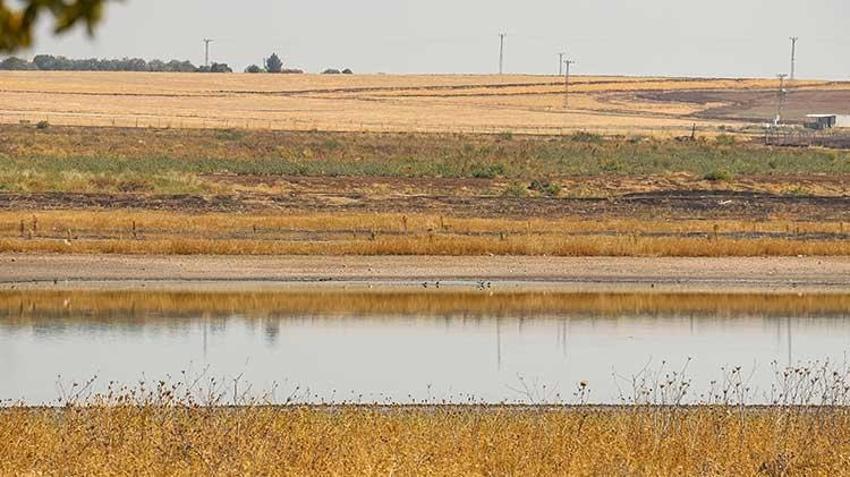 Diyarbakır'ın kuş cenneti Kabaklı gölü yok olma tehlikesiyle karşı karşıya! Tarım ilaçları ve kuraklık biyoçeşitliliği tehdit ediyor