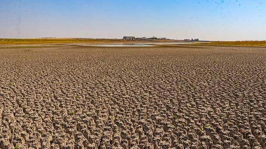 Diyarbakır'ın kuş cenneti Kabaklı gölü yok olma tehlikesiyle karşı karşıya! Tarım ilaçları ve kuraklık biyoçeşitliliği tehdit ediyor
