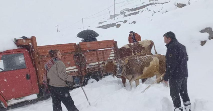Kar yağışı ülkenin geneline yayılıyor! Şehir merkezlerinde lapa lapa kar yağıyor