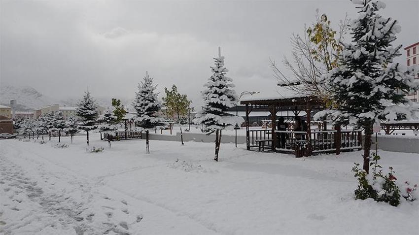 Lapa lapa kar yağışı başladı, her yer beyaza büründü! Onlarca il için yeni uyarı geldi 