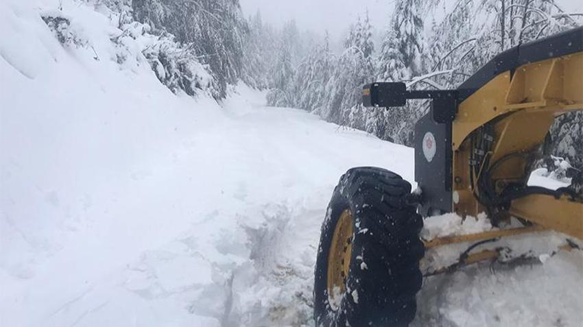Lapa lapa kar yağışı başladı, her yer beyaza büründü! Onlarca il için yeni uyarı geldi 