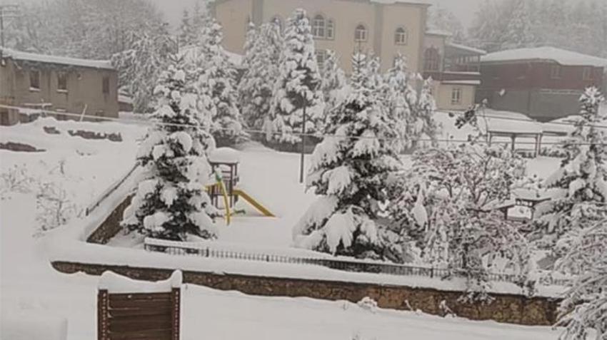Lapa lapa kar yağışı başladı, her yer beyaza büründü! Onlarca il için yeni uyarı geldi 