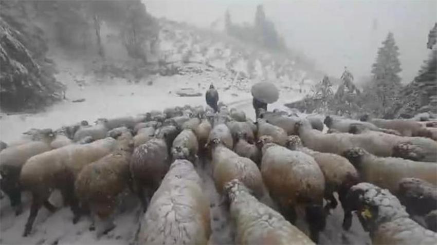 Lapa lapa kar yağışı başladı, her yer beyaza büründü! Onlarca il için yeni uyarı geldi 