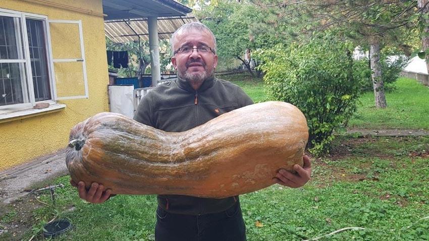 Karabük'te görenleri şaşırtan olay! 40 kilogramlık 110 santimetrelik dev ilgi odağı oldu