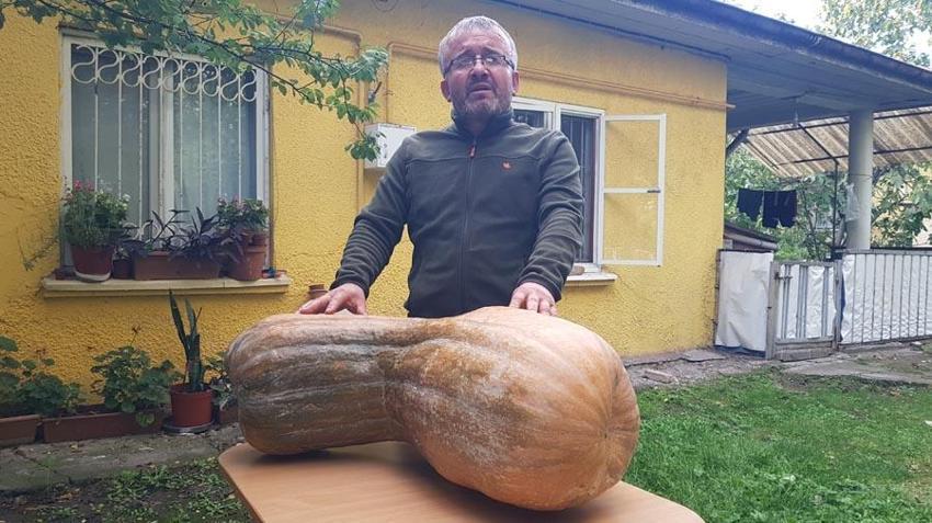 Karabük'te görenleri şaşırtan olay! 40 kilogramlık 110 santimetrelik dev ilgi odağı oldu