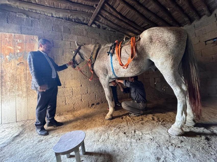 Atlar diyarı Şanlıurfa'da nalbantlık son demlerini yaşıyor