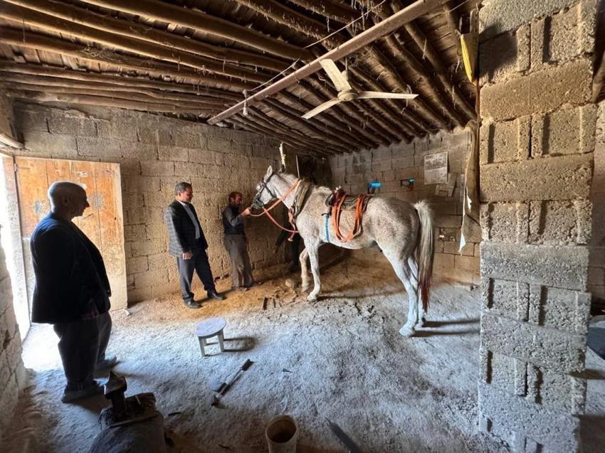 Atlar diyarı Şanlıurfa'da nalbantlık son demlerini yaşıyor