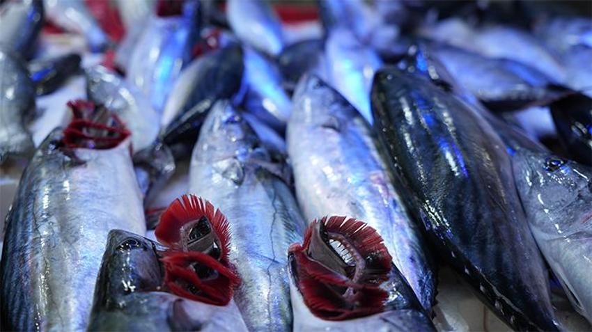 Fırtına dindi, balık fiyatları düştü, tezgahlar şenlendi