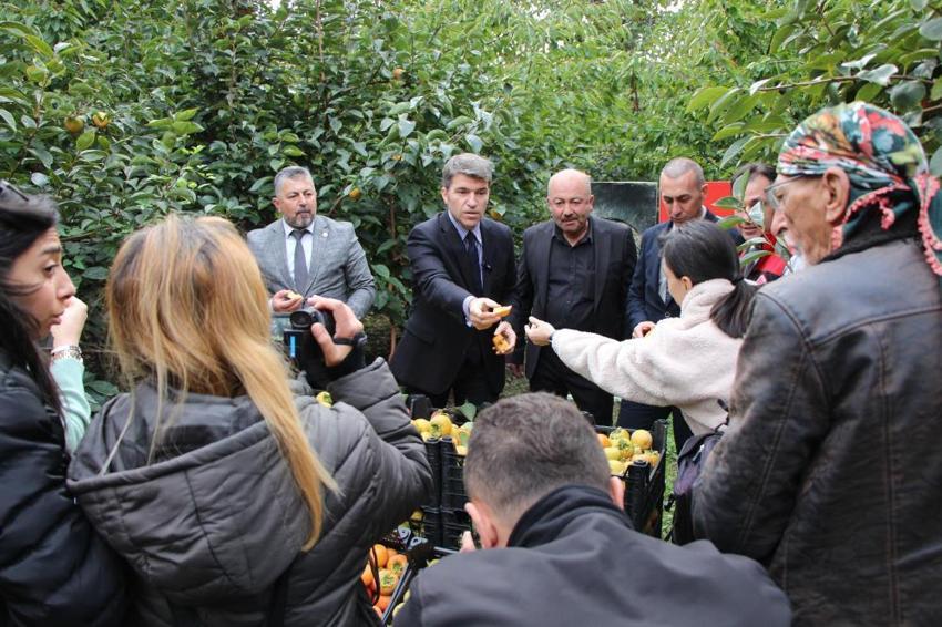 Bu köyde başka meyve yetiştirilmiyor: Dalında 15, kurusu 250 lira! Amasya'nın 'Sarı altın'ı yurdun dört bir yanına dağıtılıyor 