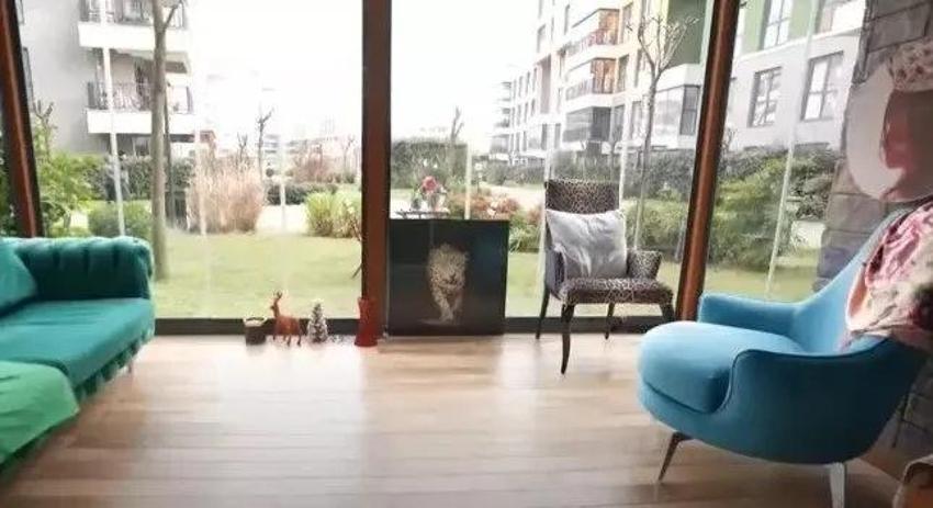 Banu Alkan 17 yaş küçük eşini boşuyor! Sebebine inanamayacaksınız