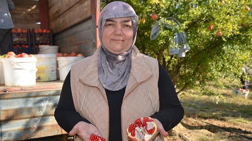 Fiyatlar yüzde 50 düştü! Bilecik'ten 81 ile gönderiliyor 