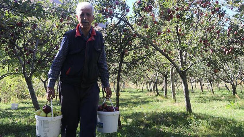 Bitlis'te hobi olarak başladı, 4 dönümde 7 ton hasat yaptı