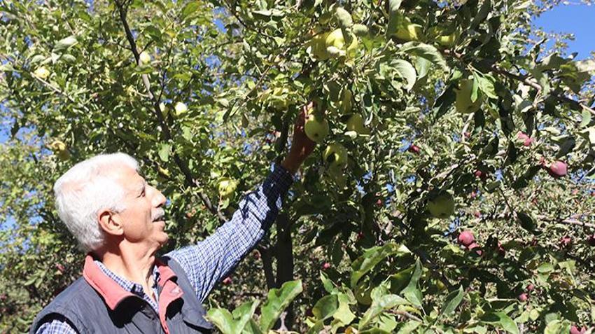 Bitlis'te hobi olarak başladı, 4 dönümde 7 ton hasat yaptı