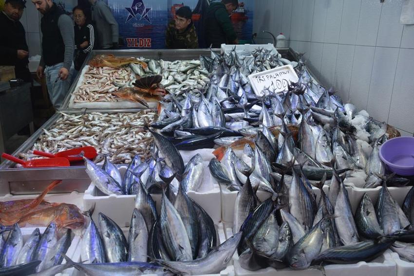 Sinop'ta balık tezgahlar balıklarla şenlendi: 1,3 kiloluk palamutlar 100 lira