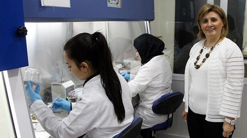 'Türkiye, 'süper besin' mavi yemişi 7 bölgede üretme potansiyeline sahip'