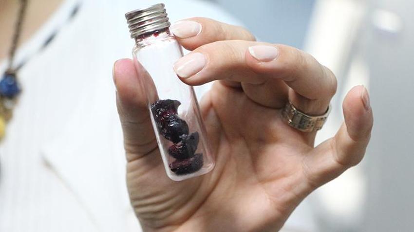 'Türkiye, 'süper besin' mavi yemişi 7 bölgede üretme potansiyeline sahip'