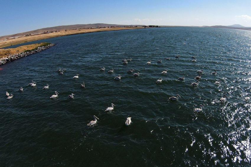 Aktaş Gölü'nde göçmen kuşlar için ses bariyeri yapılıyor